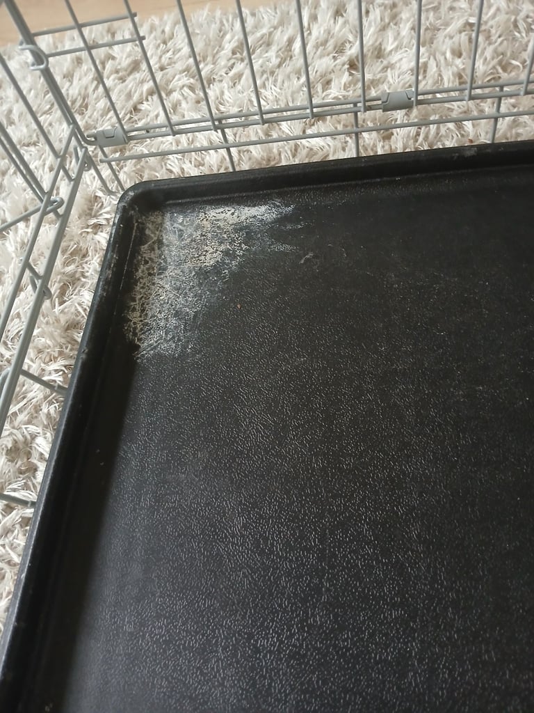 Small animal cage