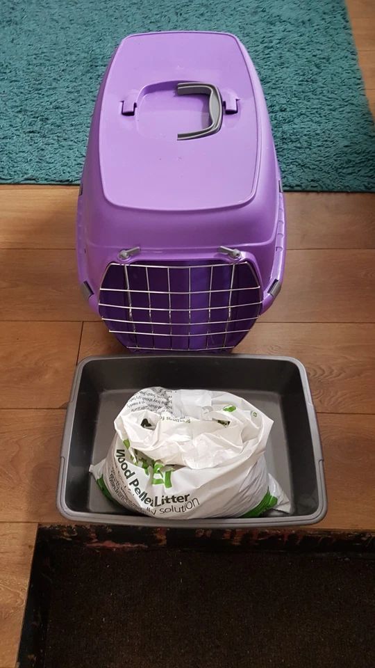 Pet / Cat, Carrier, Cat Tray, Cat Litter