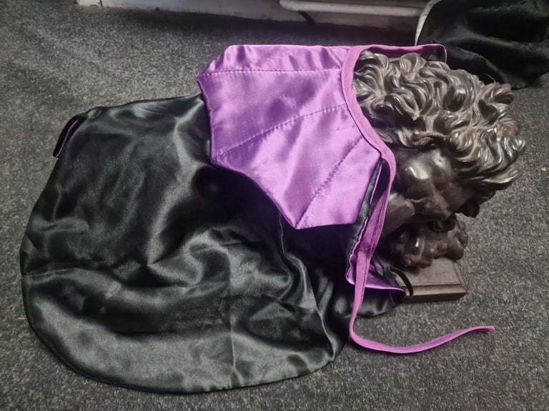 Pet cat dog dracula vampire dress up cape
