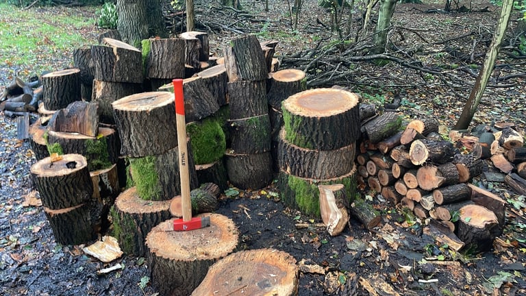 Hardwood seasoned firewood