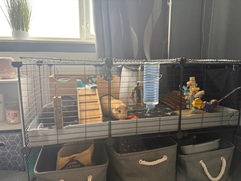 C&c cage, fleece blankets + accessories 