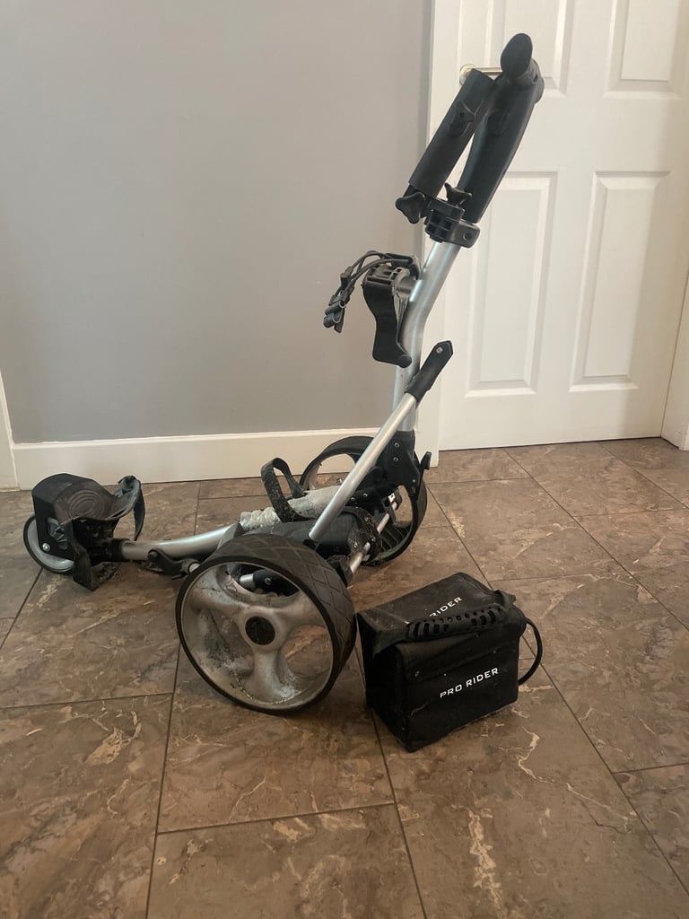 Pro rider electric golf caddy