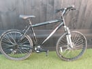 Adult Apollo Mountain Bike