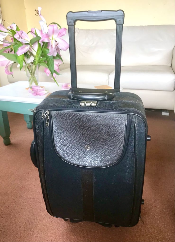 Goldlion Cabin Suitcase