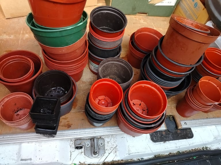 image for Free Plastic plant pots Ormesby 
