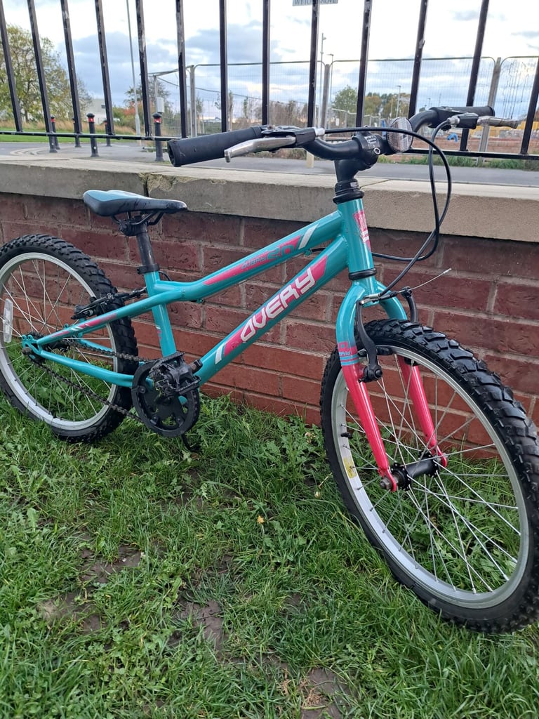 image for Girl's mountain bike brilliant condition 