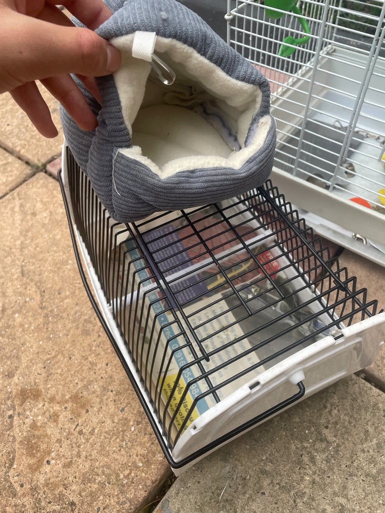 Bird cage 