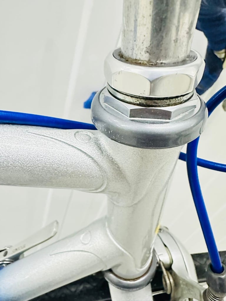 17  RORY O BRAIN Size/54 cm 12 Speed Index Gears Fully Serviced Warranty