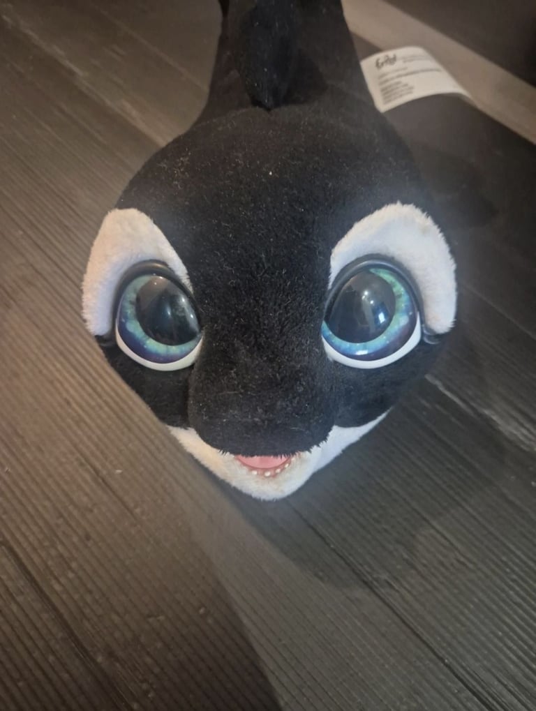 image for Fur real whale 🐋