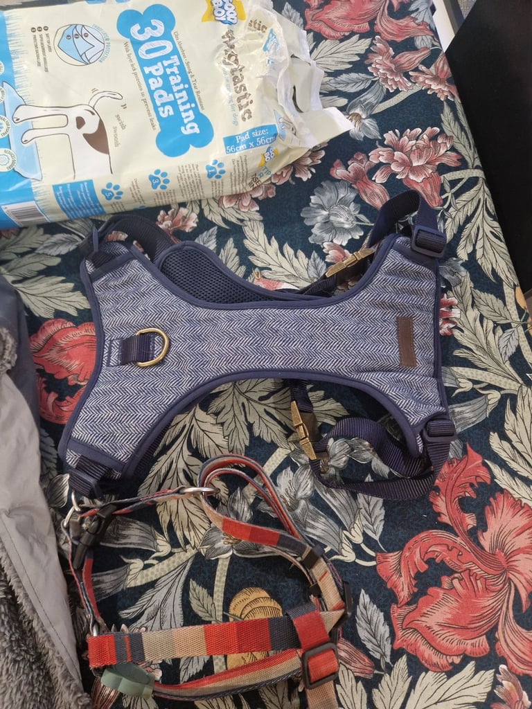 image for Puppy harness