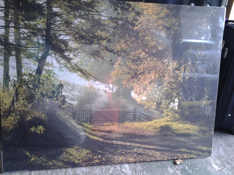 Canvas photo , trees. New and wrapped