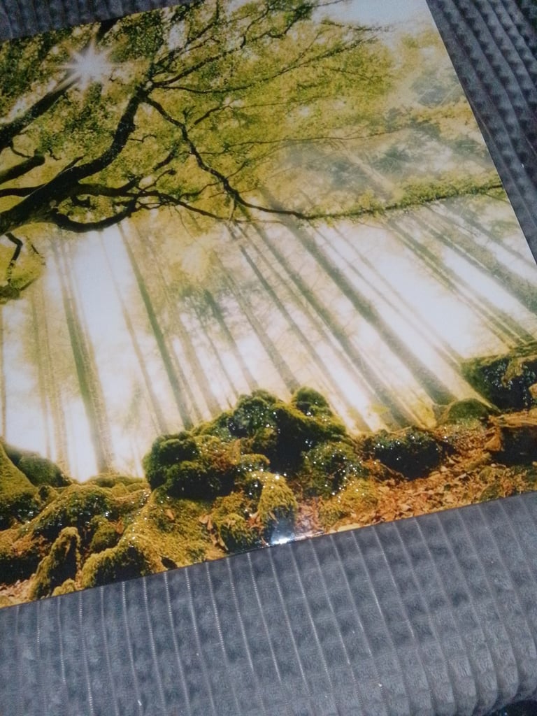 Large canvas picture 