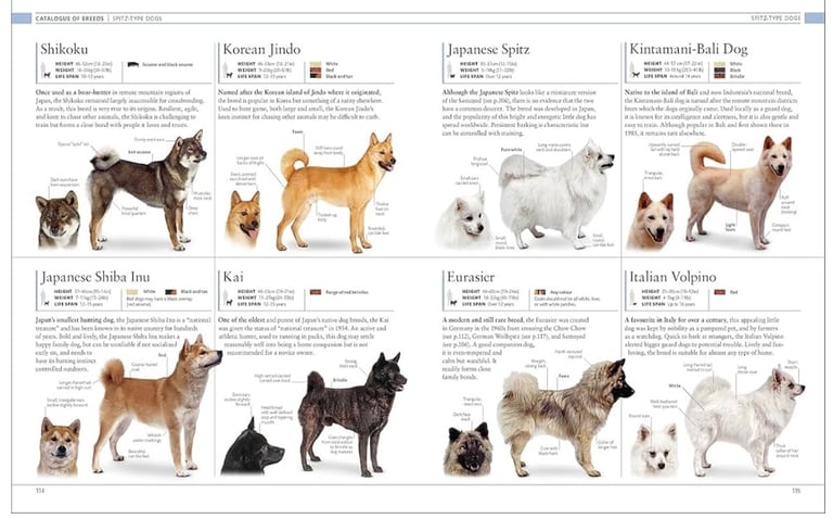 The Dog Encyclopedia: The Definitive Visual Guide (DK Pet Encyclopedias)