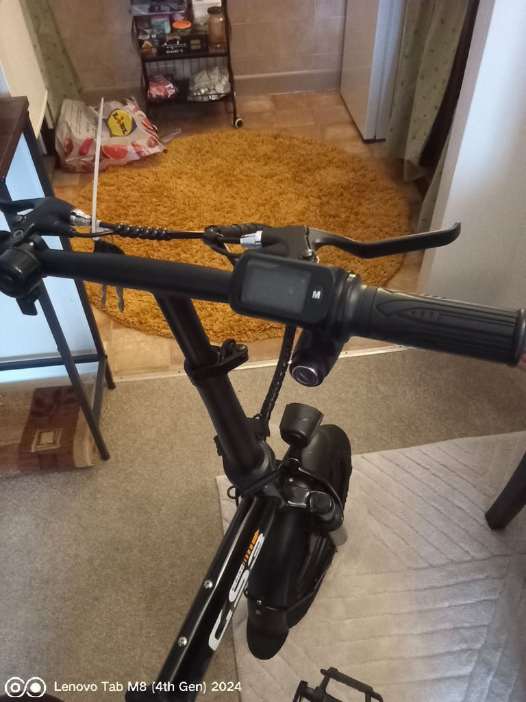 Electrically assisted bicycle