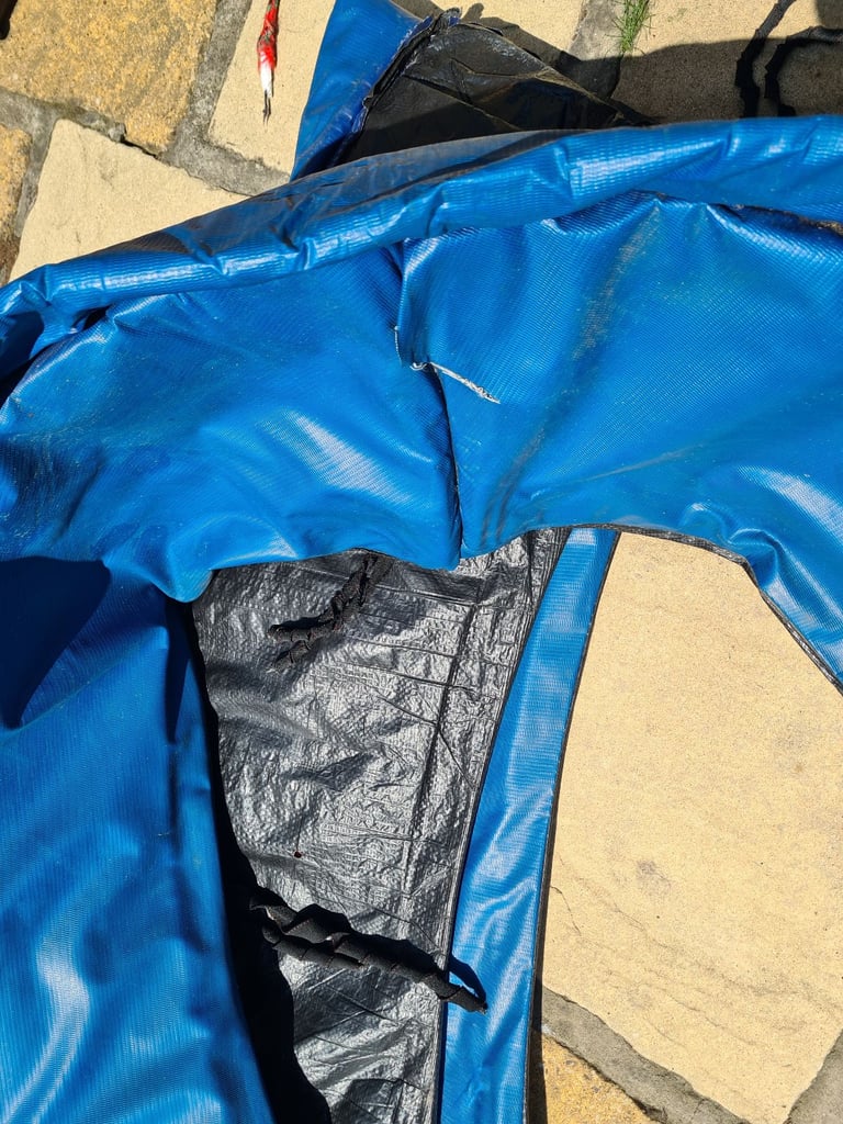 image for 8 Foot Trampoline 