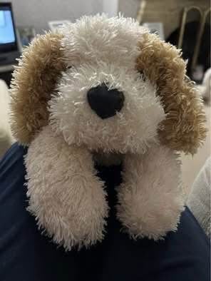 image for Cuddly toy-puppy
