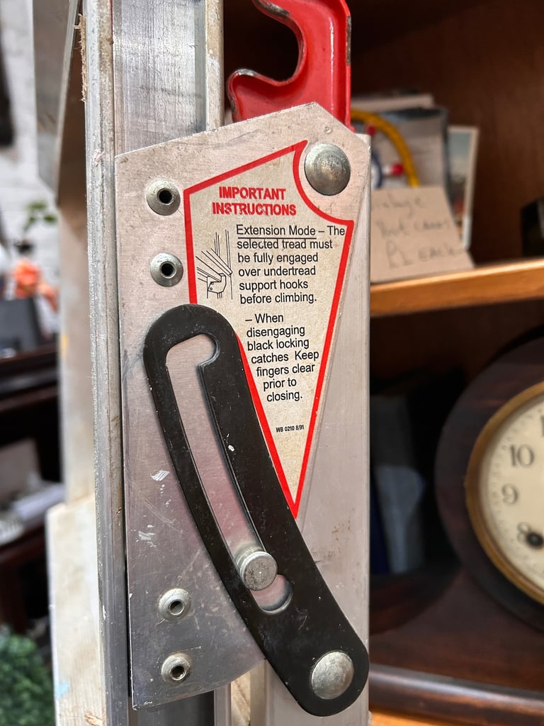 11 Step 3 Way Ladder