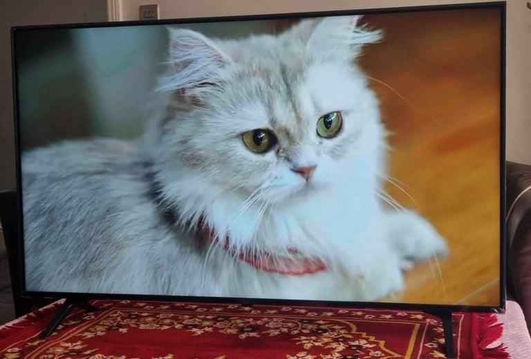 image for Smart 49inch Polaroid Tv wifi, apps built-in 