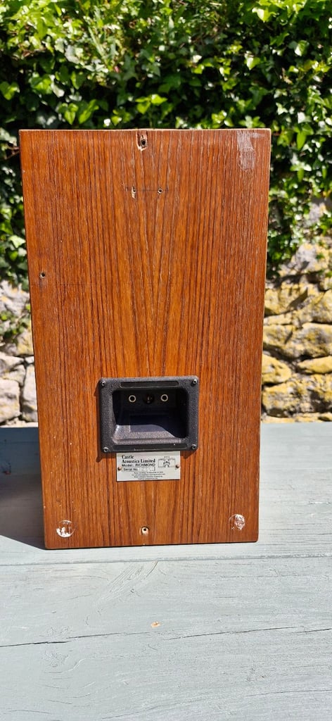 Castle Richmond speakers