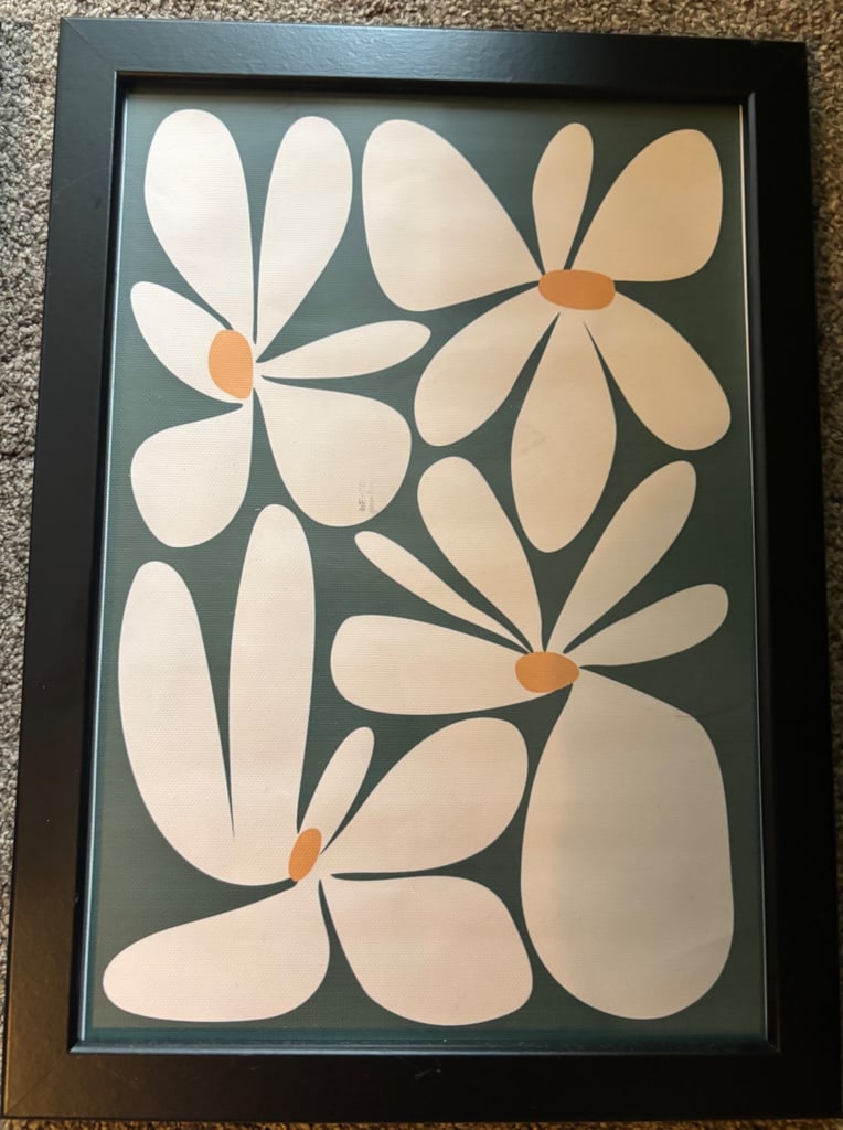 Framed wall art 