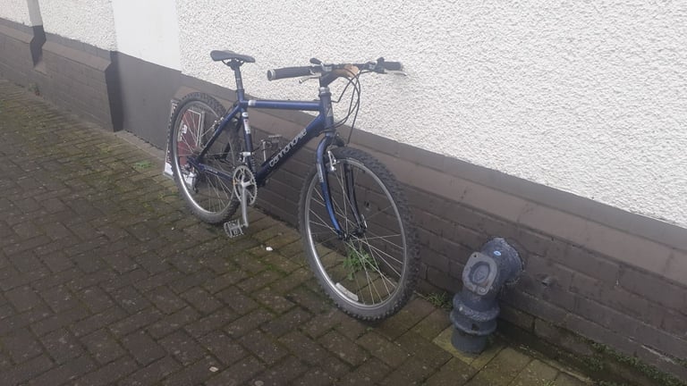 Cannondale mountain 800adults bike 