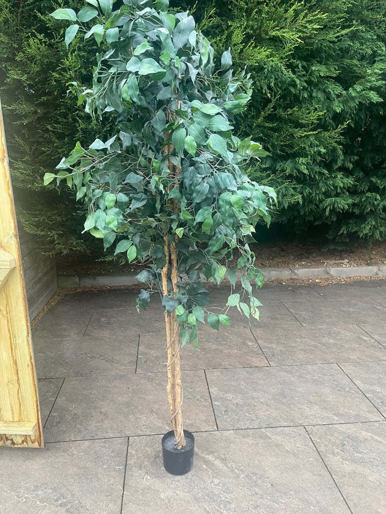 Indoor outdoor tree 5 ft 10
