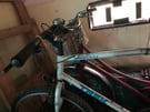 Pair of adult’s bikes - need a good service - free