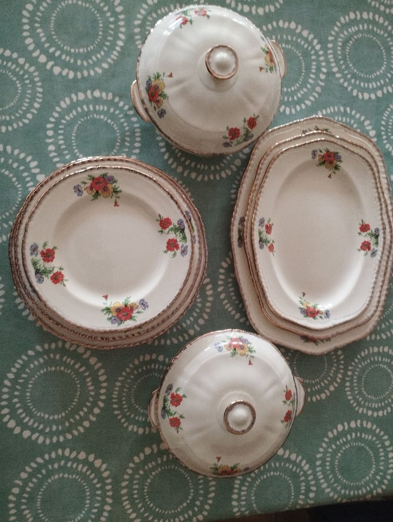 Vintage Alfred Meakin Dinner Service 