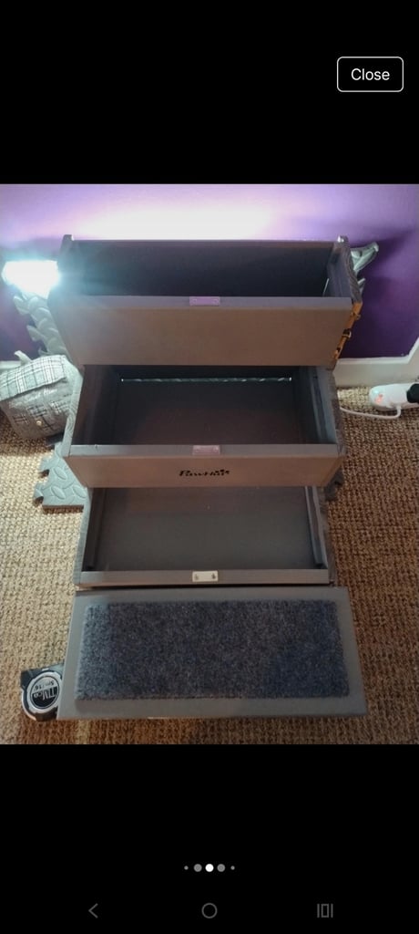 Dog steps and storage