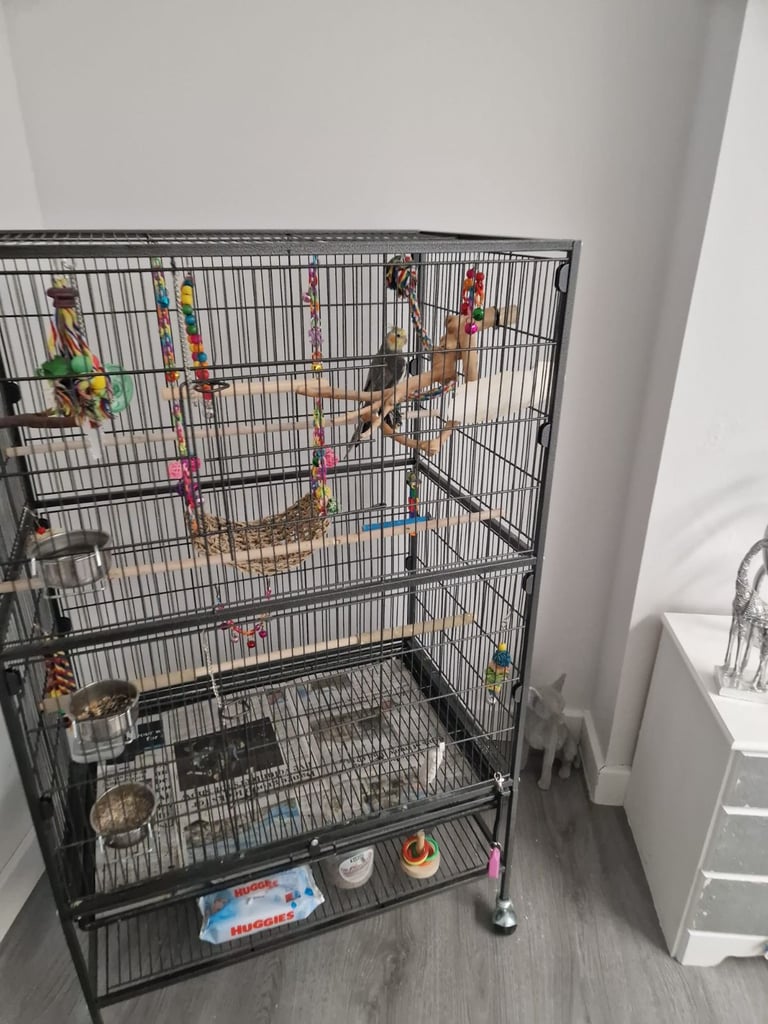 image for Flight bird cage 