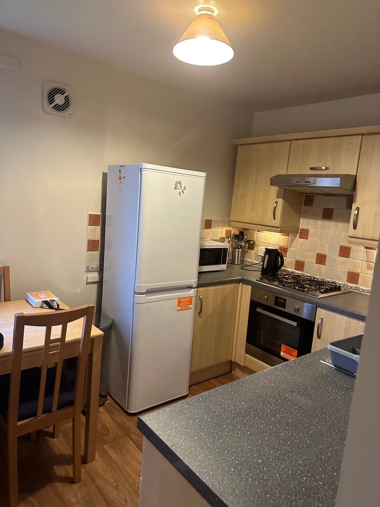 Excellent Location, Big Room Professional flatmates 