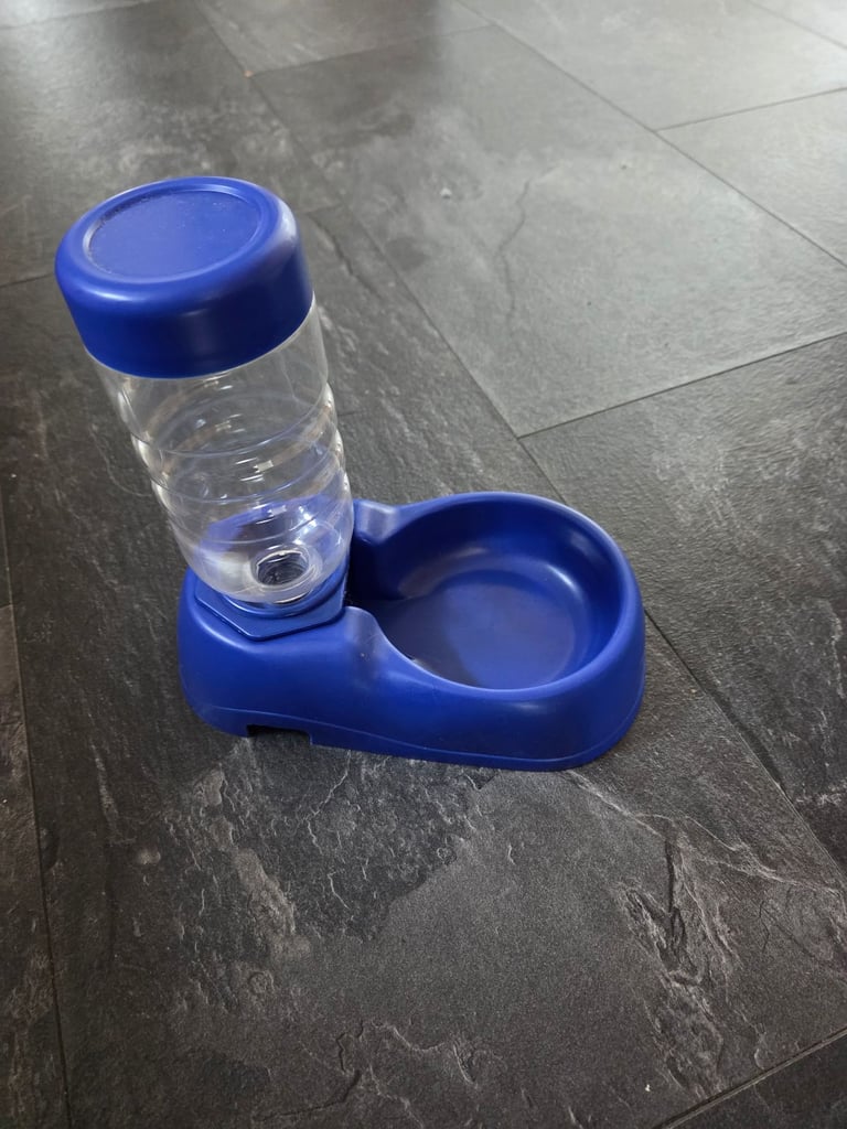 Water bottle stand for pets