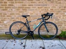 Pinnacle Laterite One Carbon Forks Road Bike SMALL Frame NOT Hybrid 