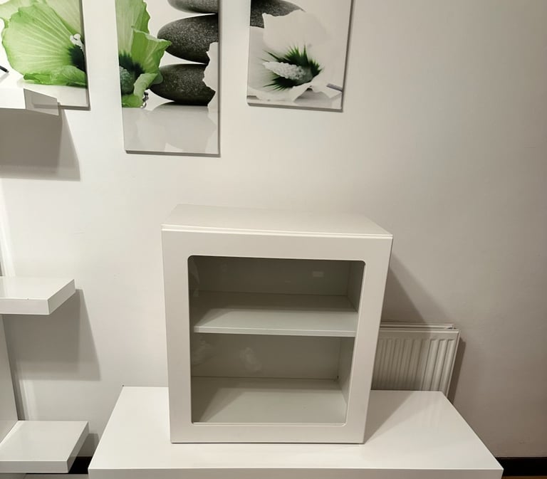 IKEA Besta Unit & White Gloss unit with Black door 
