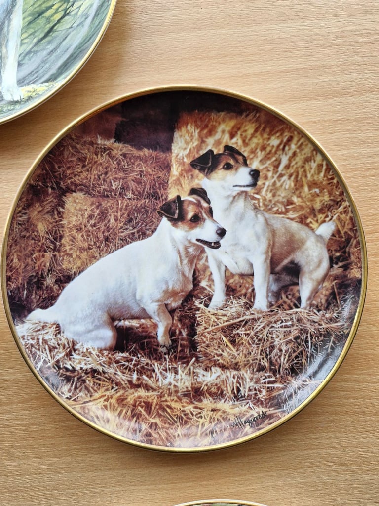 5 china plates with Jack Russells.