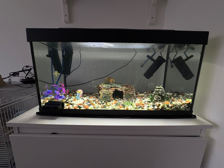 image for Tetra fish aquarium tank and accessories 