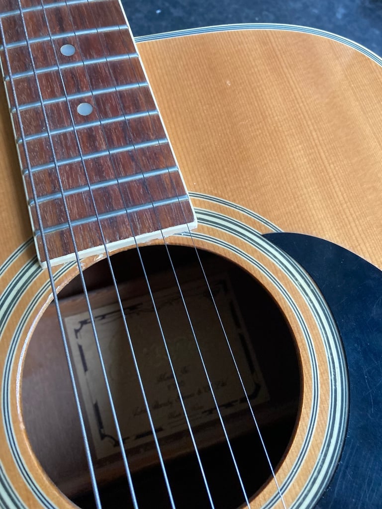 Encore guitar