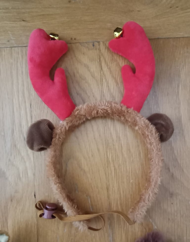 Haloween dog outfits