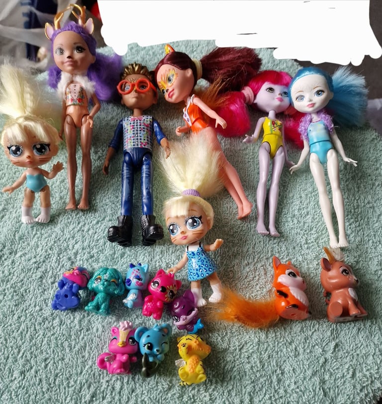image for Entchantimal dolls x7 and animals and bike 