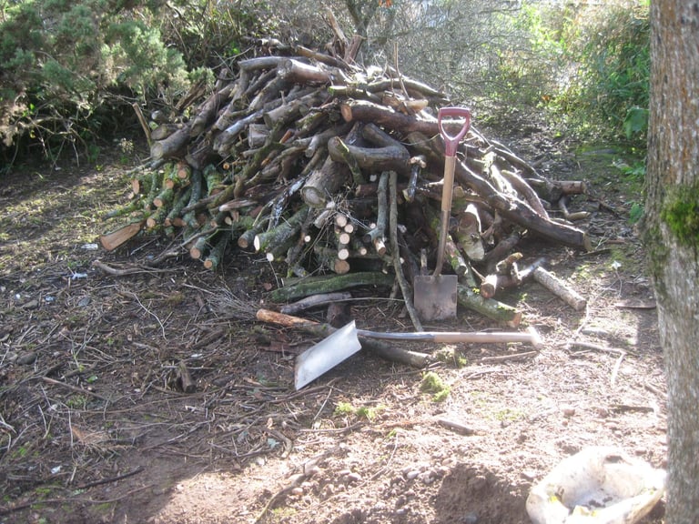 image for Firewood - Updated. Free firewood