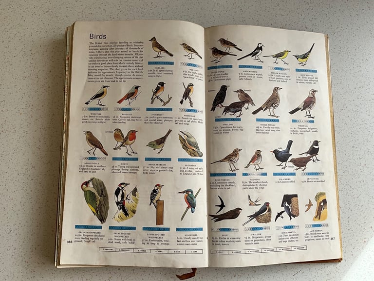 The Reader's Digest AA Book of the Road - Vintage book 1967, Maps, Flowers, Butterflies, Sea shells
