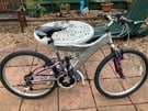 Adults 18” mountain bike £45 