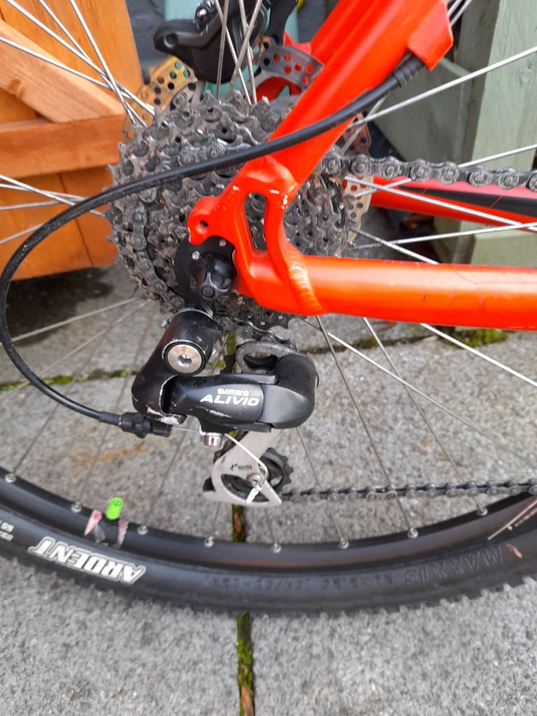 image for 29 MTB