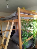 Double Loft Bed
