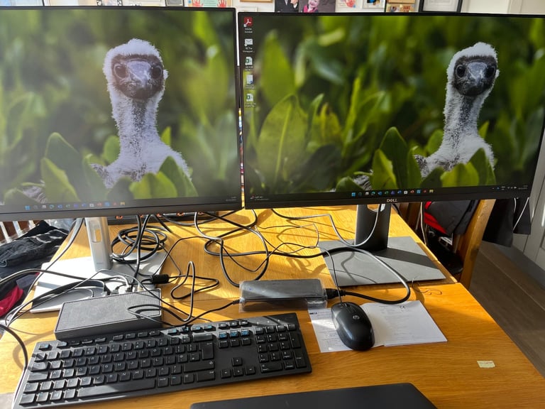 Office computer set up Two Dell Screens and Targus Docking Station Keyboard and Mouse 