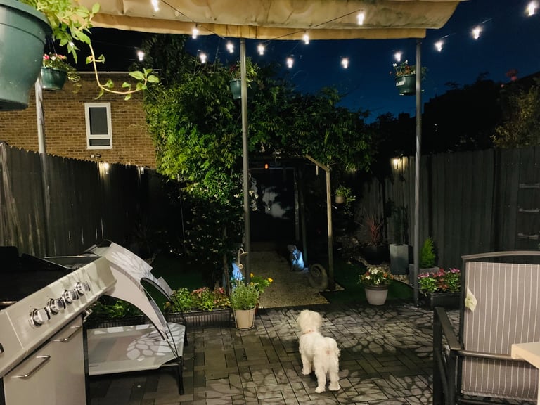 2 Rooms in 2 Bedroom Modern House 