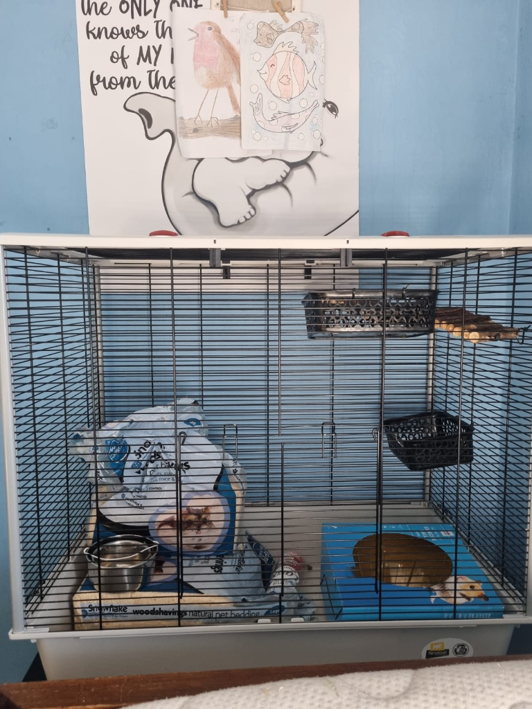 Large rat cage