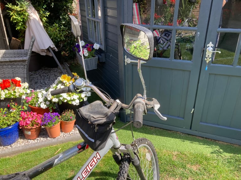 Gents Raleigh bike