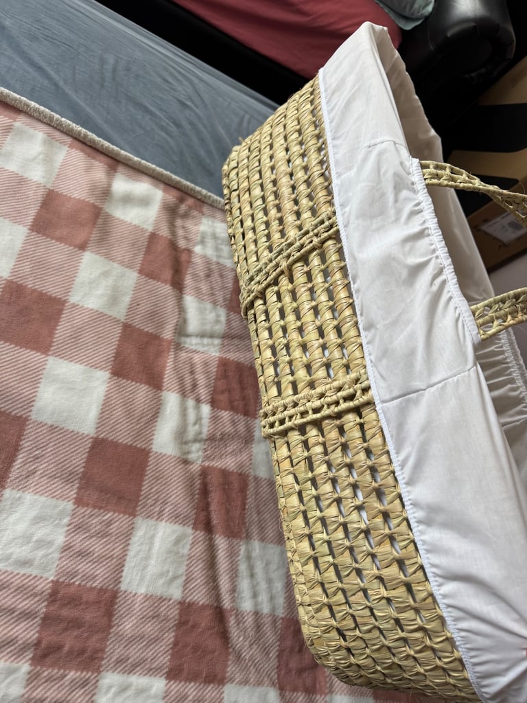 Baby Moses basket 