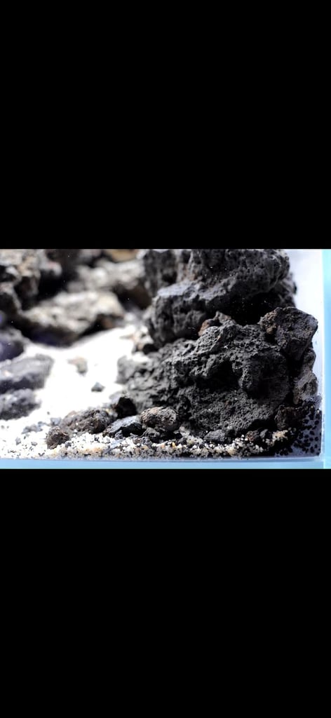 Natural Course White Amtra Aquarium Gravel - 4kg, Grains Size 4-8mm